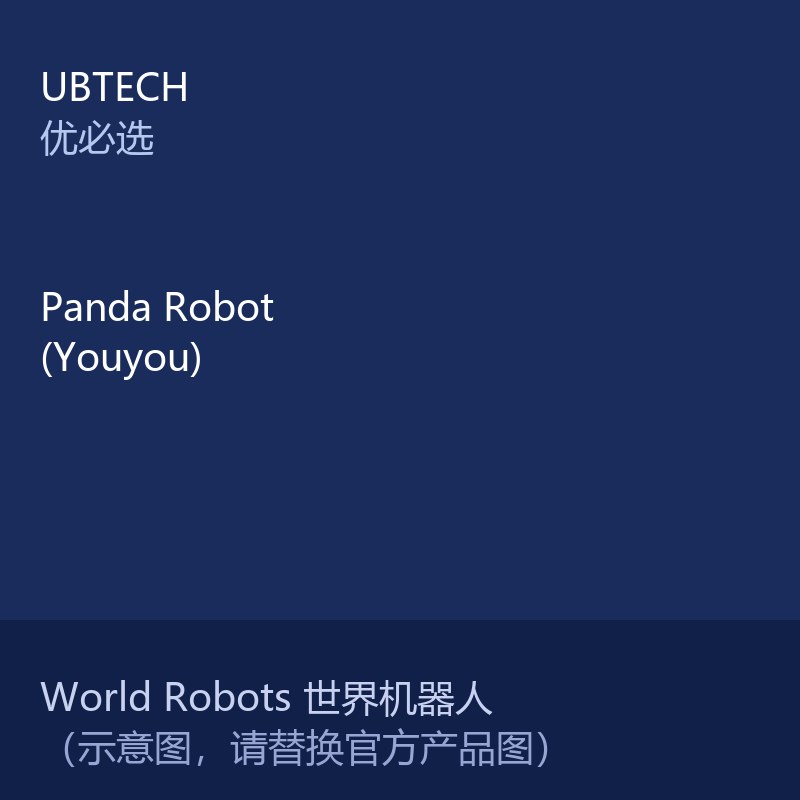 Panda Robot 优优 熊猫造型人形机器人