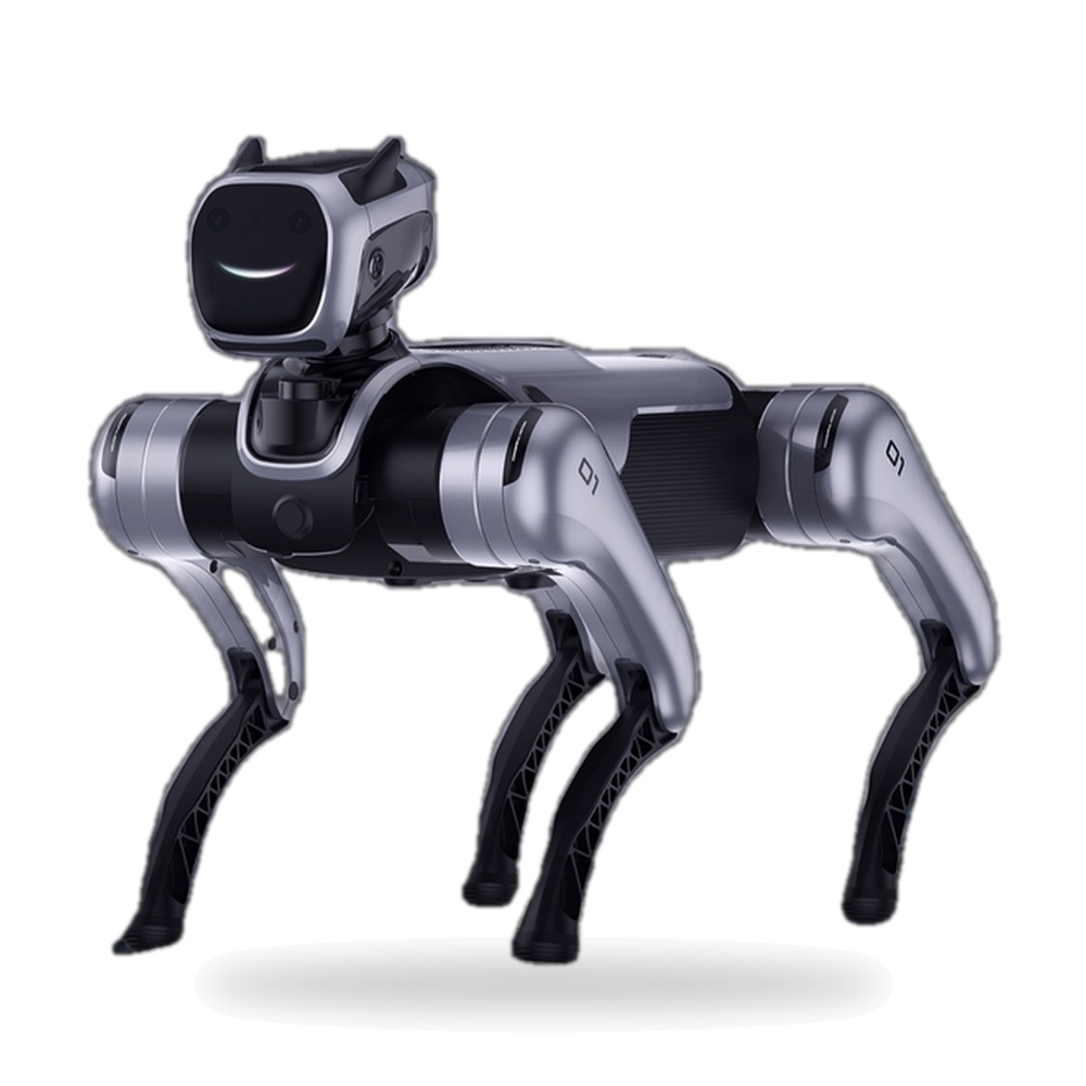 MagicLab Dog