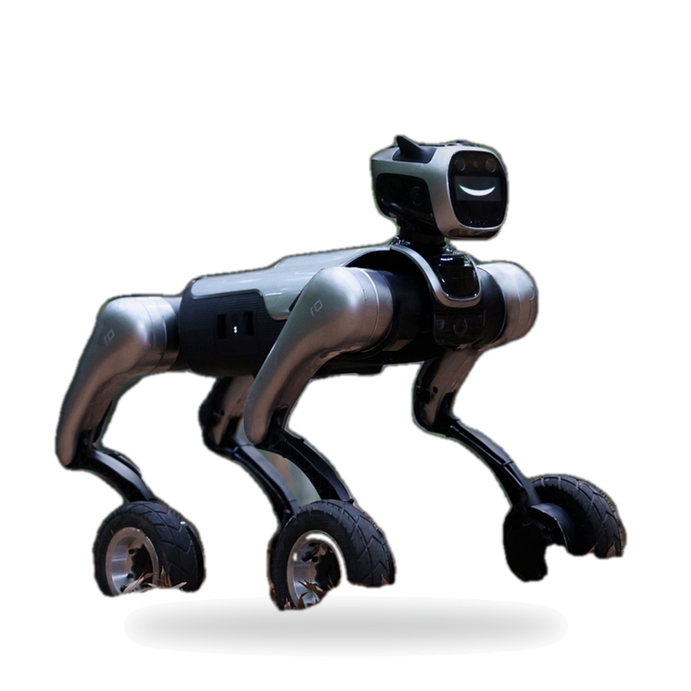 MagicLab Dog-W