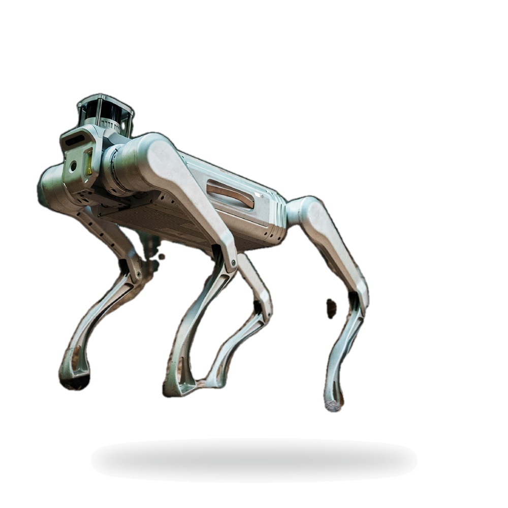 MagicLab Dog-Y