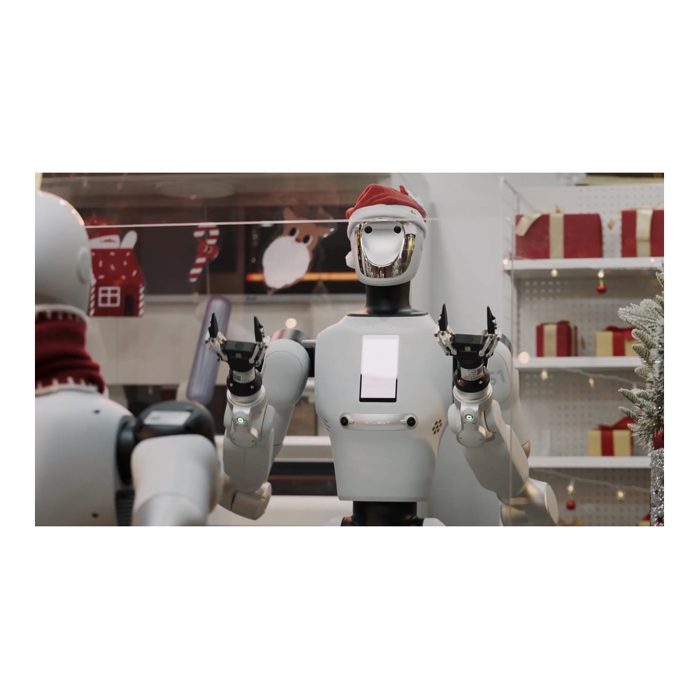 银河通用 Galbot G1 可泛化操作具身机器人